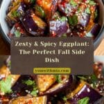 Zesty & Spicy Eggplant: The Perfect Fall Side Dish