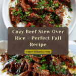 Stew Beef and Rice Recipe