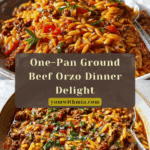 Ground Beef Orzo Recipe
