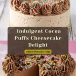 Cocoa Puffs Cheesecake Recipe