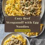 Easy Beef Stroganoff Recipe