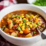 Slow Cooker Beef and Vegetable Soup Recipe