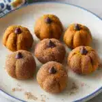 Pumpkin Protein Bites Recipe