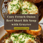 French Onion Beef Short Rib Soup Recipe