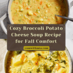 Broccoli Potato Cheese Soup Recipe